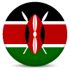 UAE Flag